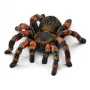 Figūrėlė Schleich WILD LIFE tarantulas