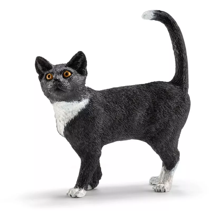 Žaidimų rinkinys Schleich FARM WORLD Žaidimo metas mieloms katėms