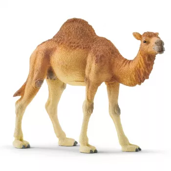 schleich WILD LIFE Vienkupris. Rekomenduojamas amžius (min.): 3 m., Gaminio spalva: Įvairiaspalvė, Medžiaga: Plastikas. Įtrauktų gaminių skaičius: 1 vnt.
