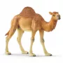 schleich WILD LIFE Vienkupris. Rekomenduojamas amžius (min.): 3 m., Gaminio spalva: Įvairiaspalvė, Medžiaga: Plastikas. Įtrauktų gaminių skaičius: 1 vnt.