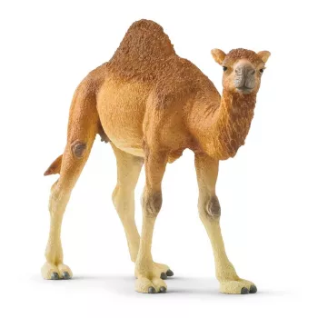 schleich WILD LIFE Vienkupris. Rekomenduojamas amžius (min.): 3 m., Gaminio spalva: Įvairiaspalvė, Medžiaga: Plastikas. Įtrauktų gaminių skaičius: 1 vnt.