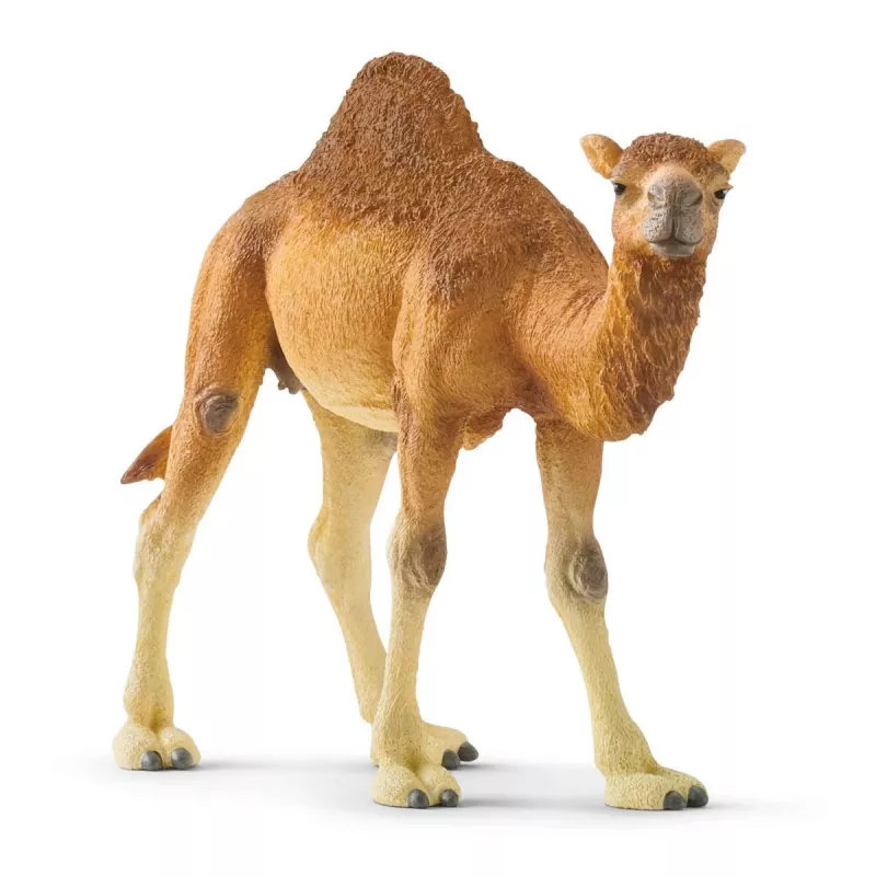 schleich WILD LIFE Vienkupris. Rekomenduojamas amžius (min.): 3 m., Gaminio spalva: Įvairiaspalvė, Medžiaga: Plastikas. Įtrauktų gaminių skaičius: 1 vnt.