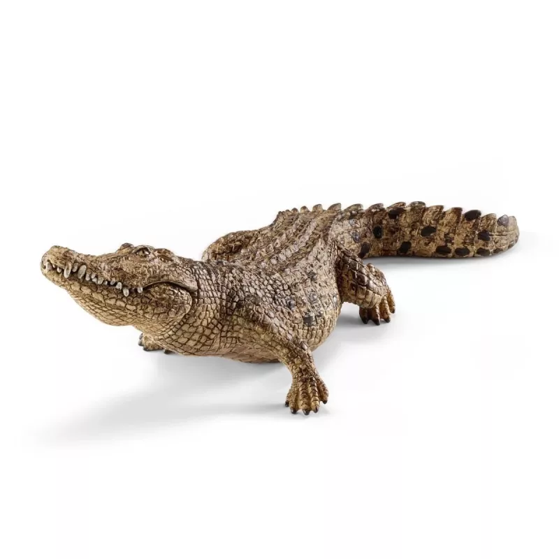 schleich WILD LIFE Krokodilas, 3 metai, Safaris, Laukiniai gyvūnai / nuotykių žaislai, Įvairiaspalvis, Plastmasė, 1 vnt.
