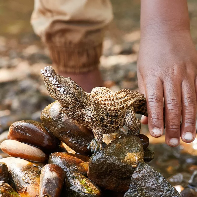 schleich WILD LIFE Krokodilas, 3 metai, Safaris, Laukiniai gyvūnai / nuotykių žaislai, Įvairiaspalvis, Plastmasė, 1 vnt.