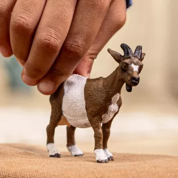 schleich FARM WORLD Ožka, 3 m., Ūkis, Ūkio gyvūnai / ūkio žaislai, Įvairiaspalvė
