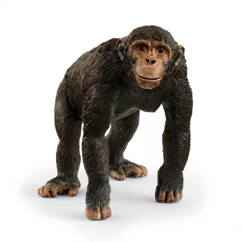 schleich WILD LIFE Šimpanzė, 3 m., Įvairiaspalvė