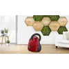 Bosch Serie 2 BGBS2RD1 dulkių siurblys 3,5 L Cilindrinis dulkių siurblys Sausas 600 W Dulkių maišelis