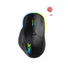 XPG ALPHA, dešiniarankė, optinė, USB Type-C, 16000 DPI, juoda