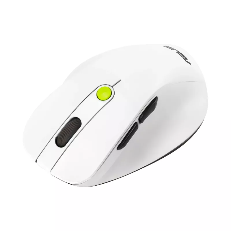 Pelė ASUS MD105 /VT-GN — dešiniarankė RF belaidė + Bluetooth, 2400 DPI, slinkties ratukas, maitinama baterijomis, balta/žalia
