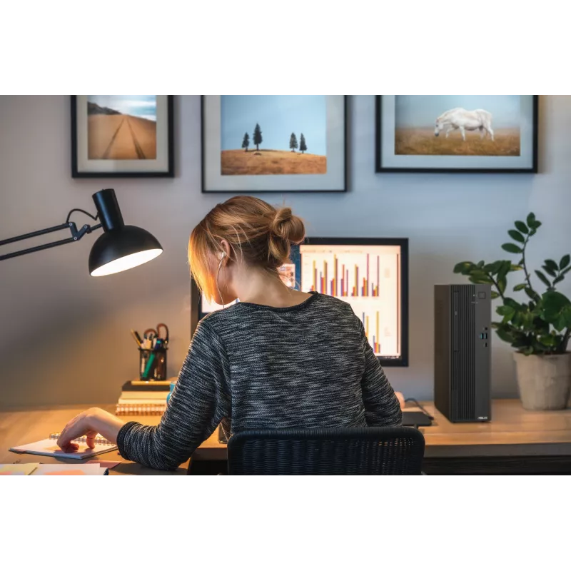 Stalinis kompiuteris ASUS ExpertCenter P500 SFF P500SV-05210H009X — Intel Core 5 210H, 16 GB DDR5, 512 GB SSD, Windows 11 Pro, Pilka