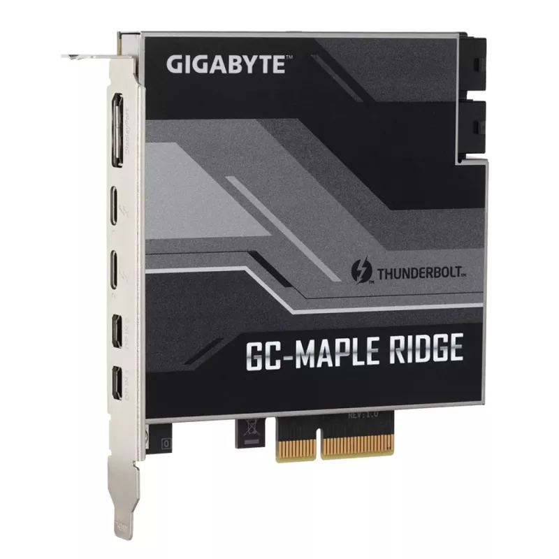 GIGABYTE GC-MAPLE RIDGE sąsajos plokštės / adapteris Vidinė DisplayPort, Mini DisplayPort, Thunderbolt 4, USB 3.2 Gen 2 (3.1 Gen 2)