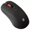 Belaidė RF tyli optinė pelė DEFENDER Nexus MS-195 — 1600 DPI, 2,4 GHz, Nano USB, abiem rankoms tinkama, 2×AAA, juoda