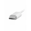 Philips TAE5008WT/00 ausinės / laisvų rankų įranga Laidinės Į ausis dedamos Skambučiai / Muzika USB Type-C Balta