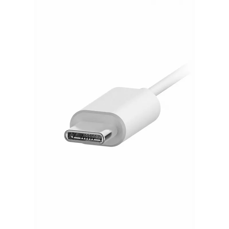 Philips TAE5008WT/00 ausinės / laisvų rankų įranga Laidinės Į ausis dedamos Skambučiai / Muzika USB Type-C Balta