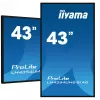 iiyama LH4354UHS-B1AG reklaminis ekranas Skaitmeninės reklamos plokščiaekranis skydelis 108 cm (42,5 col.) LCD Wi-Fi 500 cd/m² 4K Ultra HD Juoda Integruotas procesorius Android 11 24/7