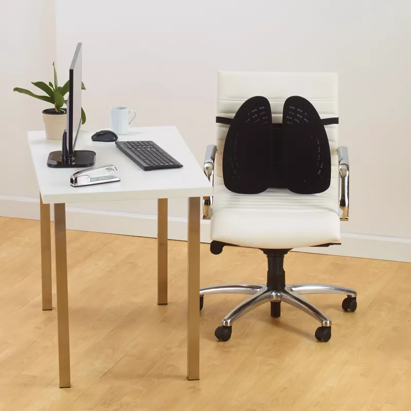 Tinklinė nugaros atrama Kensington SmartFit Conform
