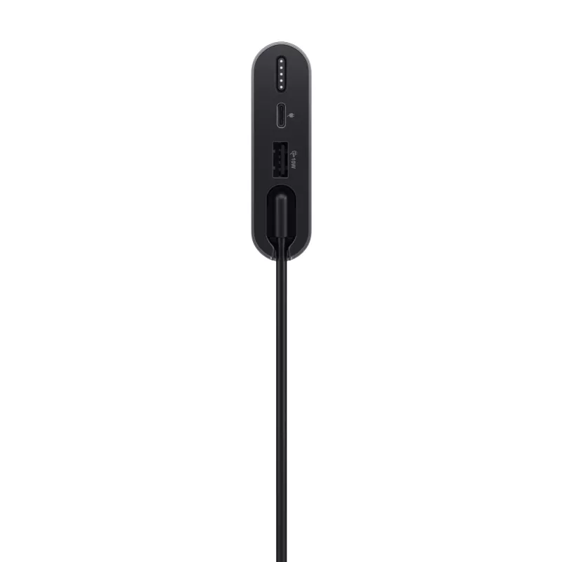 Nešiojama išorinė baterija Dell PW7018LC ličio jonų 1x USB-A išvestis sidabrinė