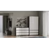 Komoda Top E Shop MALWA M6 120 cm, 6 stalčiai, antracito rėmas, balti fasadai