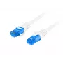 Tinklo kabelis Lanberg PCF6A-10CC-0300-W RJ-45 Cat6a 3m Baltas