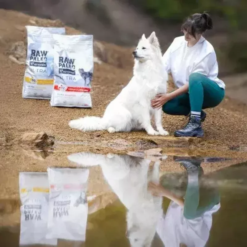 Sausas šunų maistas VETEXPERT RAW PALEO Ultra vidutiniams ir dideliems suaugusiems šunims, kalakutiena, 2 kg, be grūdų, baltymai 24,5%, riebalai 14%