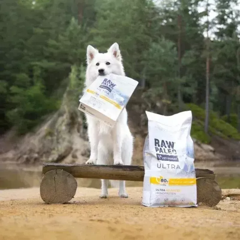 Sausas šunų maistas VETEXPERT RAW PALEO Ultra vidutiniams ir dideliems suaugusiems šunims, kalakutiena, 2 kg, be grūdų, baltymai 24,5%, riebalai 14%
