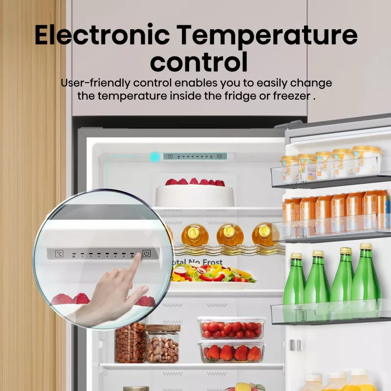 Hisense RB440N4ACA Laisvai pastatomas 336 L Nerūdijantis plienas