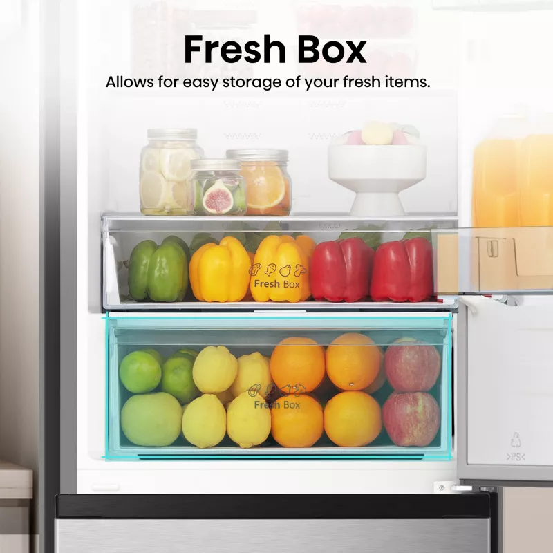 Hisense RB440N4ACA Laisvai pastatomas 336 L Nerūdijantis plienas