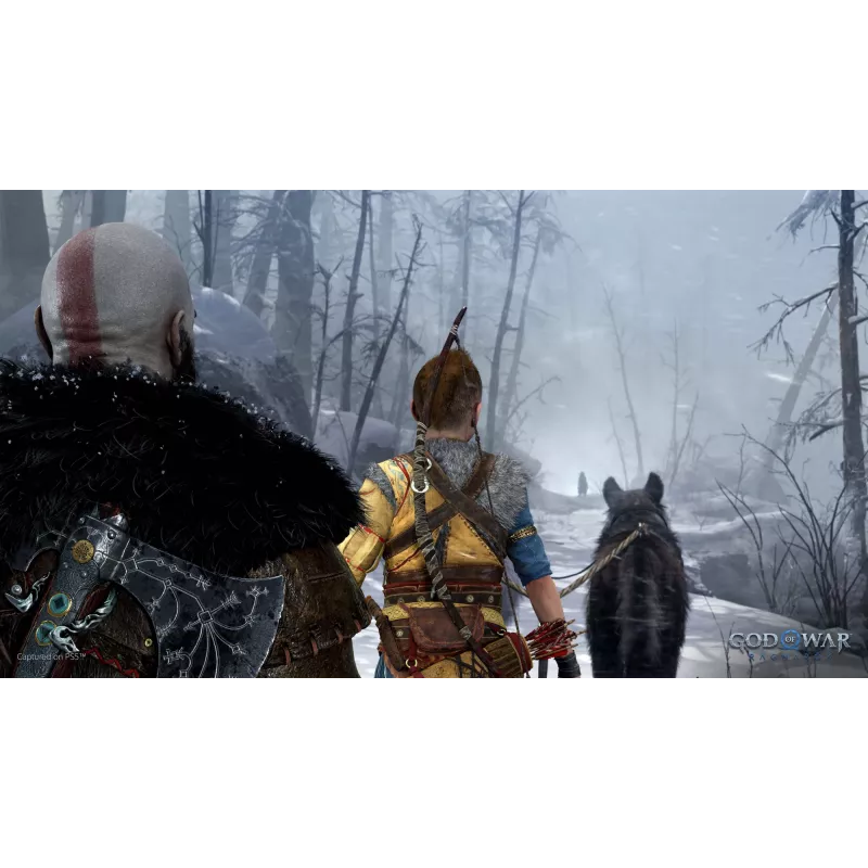 Sony God of War Ragnarök, PlayStation 5, M (Pilnametystė), Fizinė laikmena