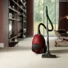 Electrolux PD82-ANIMA 3,5 l balioninis dulkių siurblys Sausas 600 W Dulkių maišelis