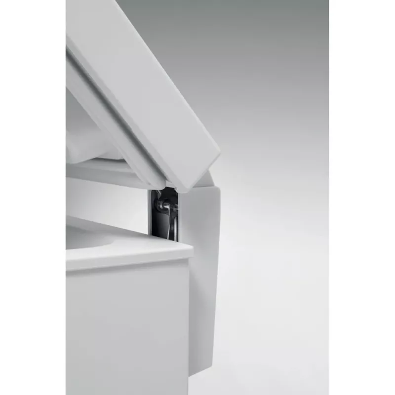 Whirlpool WH1410 E2 2 Šaldomoji dėžė Atskirai stovintis 132 L Balta