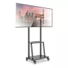 Techly grindų stovas su lentyna 32-70 colių LCD/LED/plazminiam televizoriui