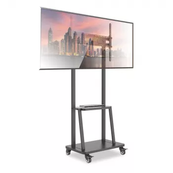 Techly grindų stovas su lentyna 32-70 colių LCD/LED/plazminiam televizoriui