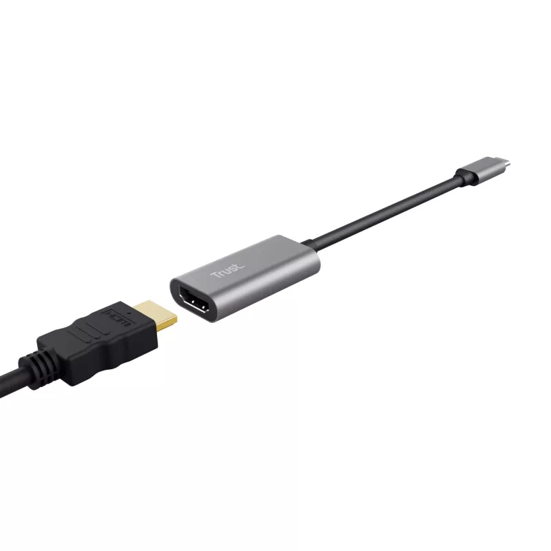 Trust Dalyx USB grafikos adapteris, pilkas