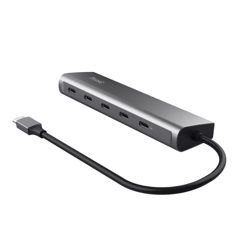 Trust Halyx USB 3.2 Gen 1 (3.1 Gen 1) Type-C Sidabrinis