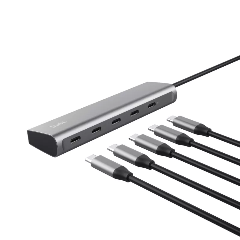 Trust Halyx USB 3.2 Gen 1 (3.1 Gen 1) Type-C Sidabrinis