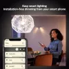 Philips Hue White A60 – E27 išmanioji lemputė – 800 (2 vnt.)