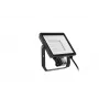 Prožektorius Philips LED 50 W 4000 K IP65 juodas — lauko LED prožektorius, 50 W, neutrali balta