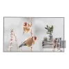 LG 55EW5P-M reklaminis ekranas 139,7 cm (55 coliai) OLED 600 cd/m² Full HD Sidabrinis Liečiamas 18/7