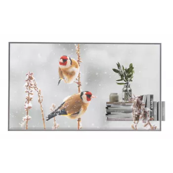 LG 55EW5P-M reklaminis ekranas 139,7 cm (55 coliai) OLED 600 cd/m² Full HD Sidabrinis Liečiamas 18/7