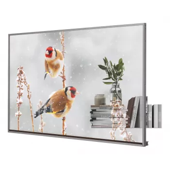 LG 55EW5P-M reklaminis ekranas 139,7 cm (55 coliai) OLED 600 cd/m² Full HD Sidabrinis Liečiamas 18/7