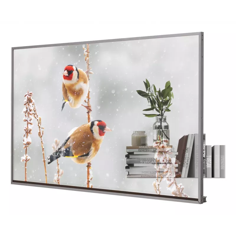 LG 55EW5P-M reklaminis ekranas 139,7 cm (55 coliai) OLED 600 cd/m² Full HD Sidabrinis Liečiamas 18/7