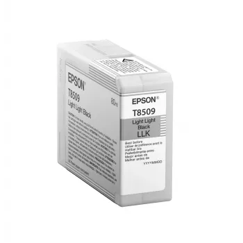 Epson Singlepack Light Light Juoda T850900, Light light Juoda, Pigmentinis rašalas, 80 ml, 1 vnt.