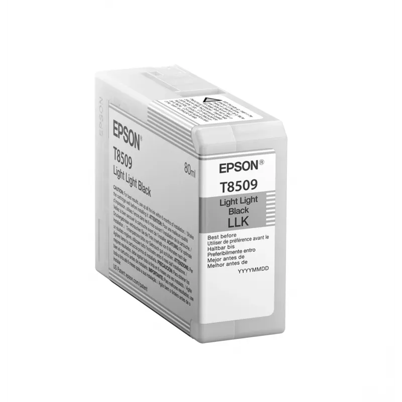 Epson Singlepack Light Light Juoda T850900, Light light Juoda, Pigmentinis rašalas, 80 ml, 1 vnt.