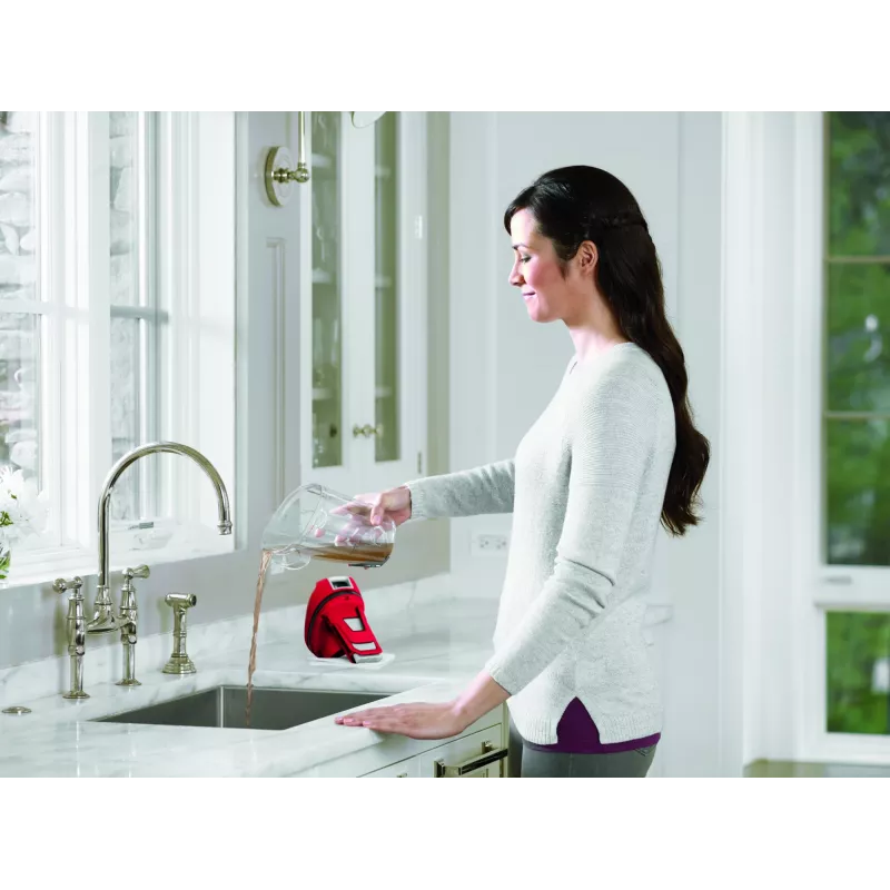 Bissell CrossWave Essential vertikalus dulkių siurblys AC sausas ir šlapias valymas Be maišelio 0 L 560 W raudona, balta