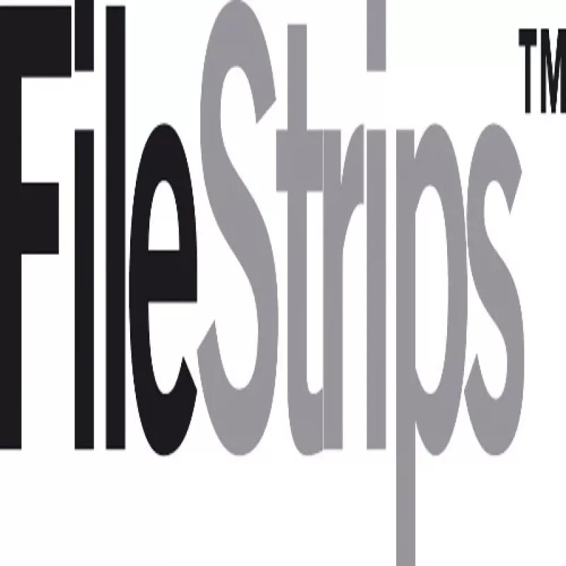GBC CombBind PVC File Strips (100), balta, polivinilchloridas, 237 g, 100 vnt., Egiptas