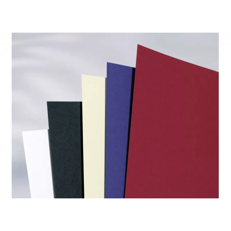 GBC Binding Cover A4 Plain 250 gsm, A4, kartonas, balta, matinė, 100 lapų, 2,2 kg