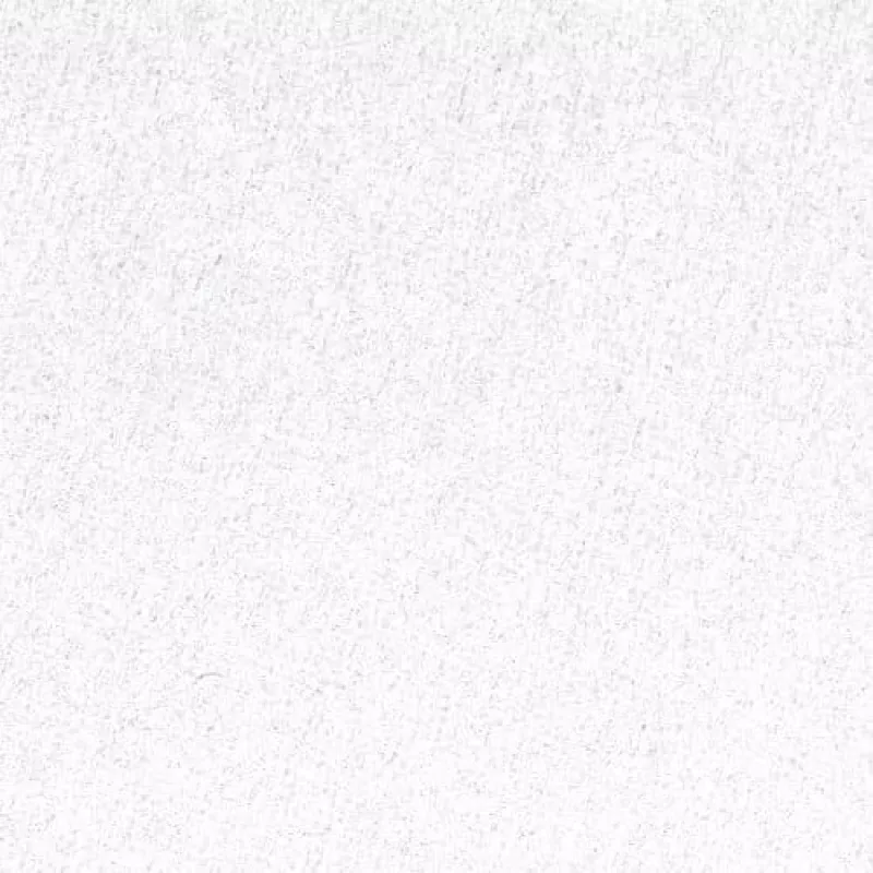GBC Binding Cover A4 Plain 250 gsm, A4, kartonas, balta, matinė, 100 lapų, 2,2 kg