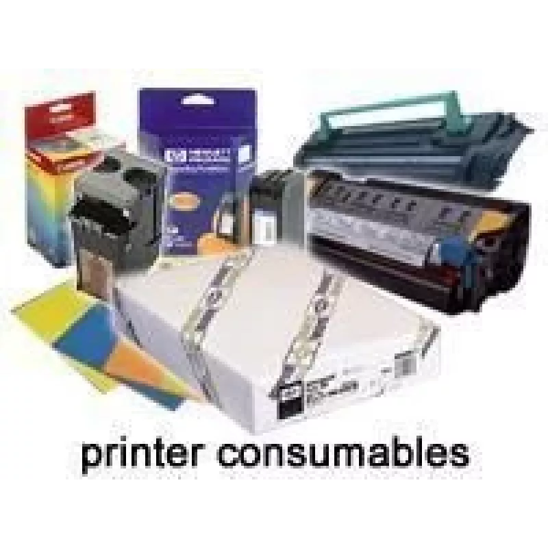 Epson Somerset Velvet dailės popieriaus rulonas, 44 coliai x 15 m, 255 g/m²