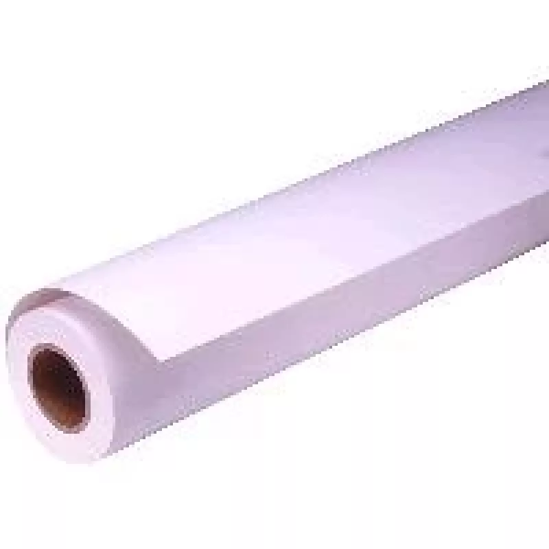 Matinio pristatymo popieriaus ritinys Epson C13S041295 24 coliai x 25 m 172 g/m²