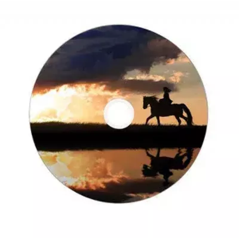 Verbatim DVD+R Double Layer Wide Inkjet Printable 43703